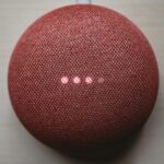 choosing the right voice assistant